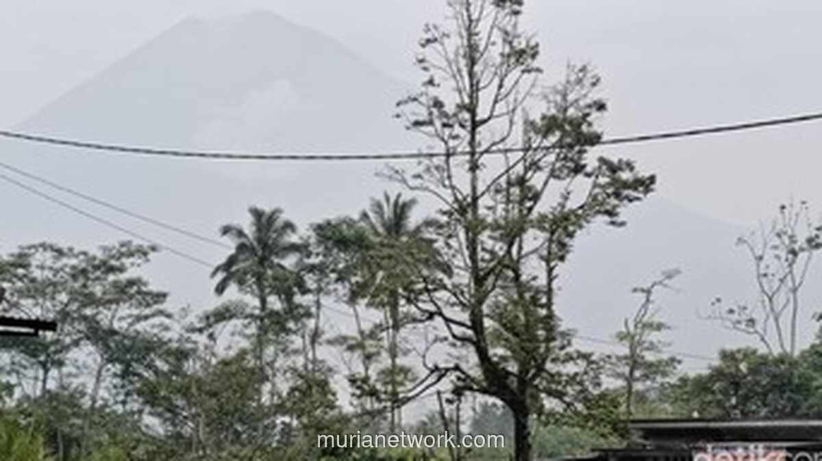 Gunung Semeru Muntahkan Abu Setinggi 600 Meter, Status Darurat Diperpanjang