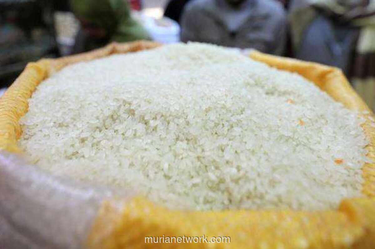 Harga Beras Stabil Jelang Nataru, Pemerintah Klaim 214 Wilayah Alami Penurunan Harga