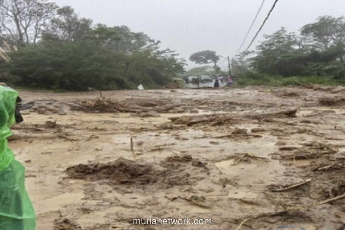 Sumut Berduka: Banjir dan Longsor Tewaskan 13 Jiwa, Ribuan Rumah Terendam