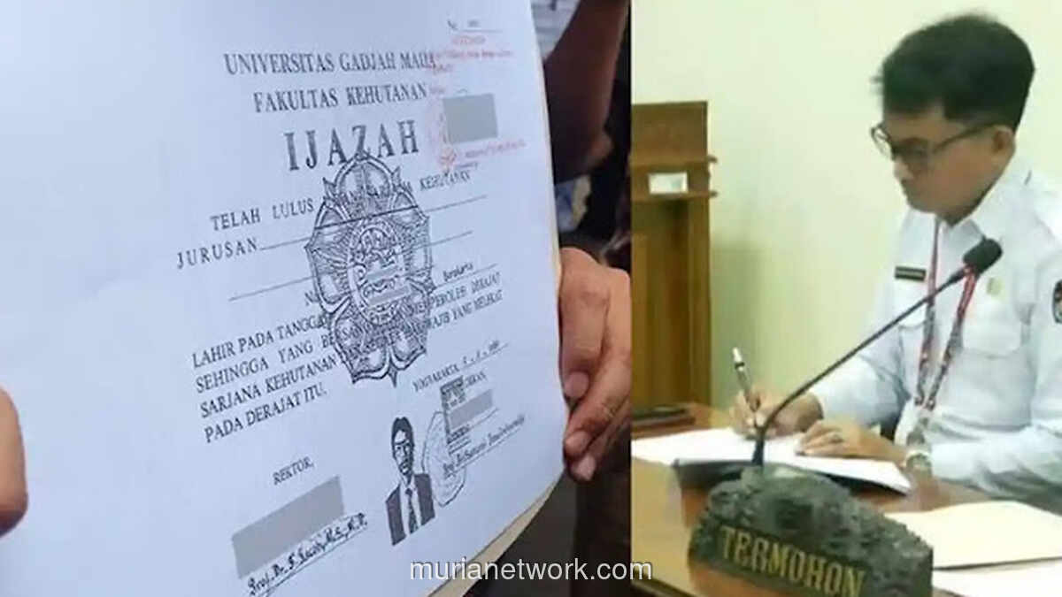 Sembilan Data Ijazah Jokowi Dihitamkan KPU, Bonatua Silalahi Gugat ke KIP