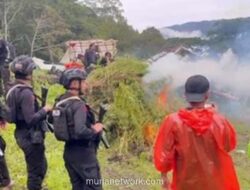 Bareskrim Hancurkan Ladang Ganja Senilai Rp 621 Miliar di Hutan Lindung Leuser