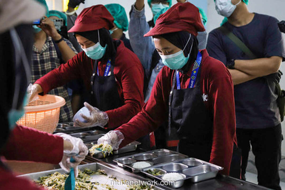 Siklus Sempurna Jimmy Hantu: Dari Sisa Makanan Gratis ke Telur dan Pupuk