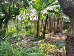 Tanah Koruptor BJB Syariah Ludes Terjual Rp 5,4 Miliar di Lelang