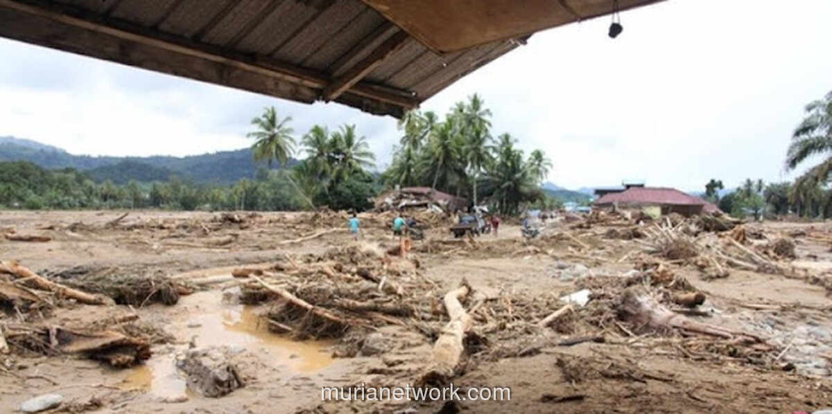 Sibolga Tenggelam, Izin Tambang Mengapung: Saat Negara Membiarkan Hulu Hancur Demi Investasi