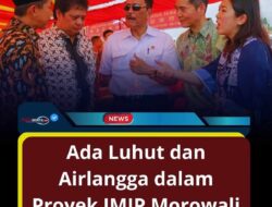 Luhut Buka Suara Soal Bandara di Morowali: Saya yang Izinkan