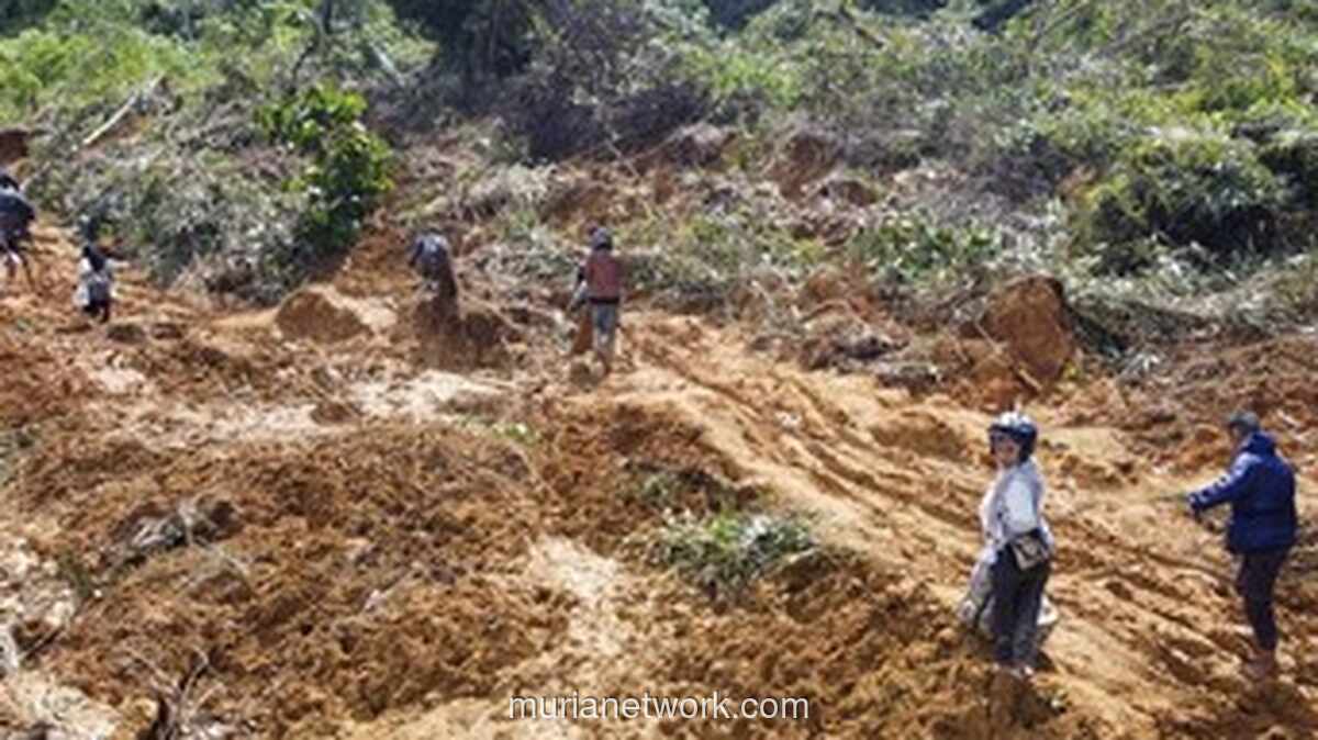 1.700 Ton Beras Dikirim ke Aceh, Bantuan Udara Dijajaki untuk Daerah Terisolasi