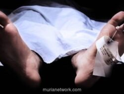 Kecelakaan Beruntun di Cileungsi, Ibu dan Anak Tewas Tertabrak Truk dan Minibus