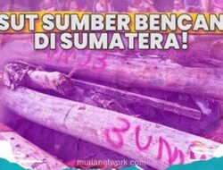 Menteri Kehutanan Disorot, Kayu Gelondongan Berkode Merah Jadi Kunci Banjir Bandang Sumatera