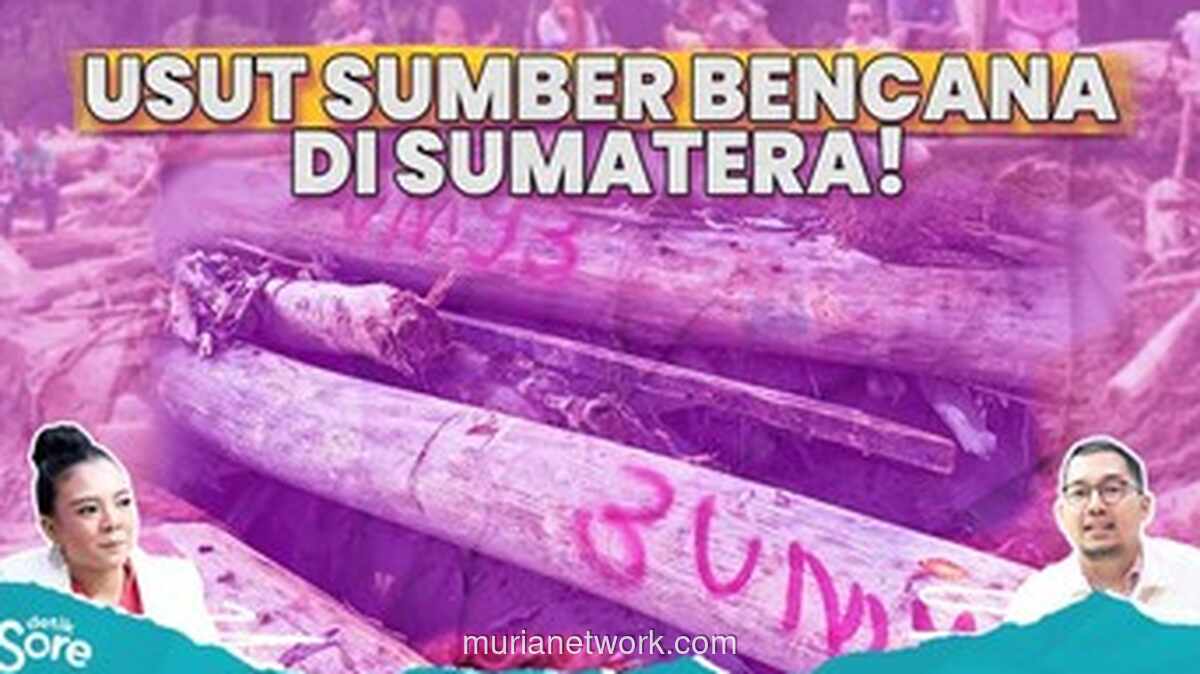 Menteri Kehutanan Disorot, Kayu Gelondongan Berkode Merah Jadi Kunci Banjir Bandang Sumatera