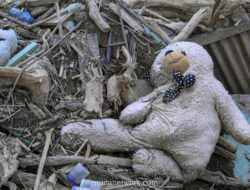 Korban Tewas Banjir dan Longsor Sumatera Tembus 1.016 Jiwa