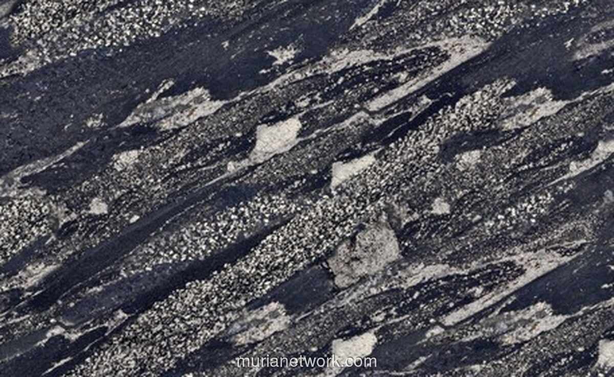 Wacana Kereta Api IKN Tembus ke Malaysia dan Brunei Masih Digodok Pemerintah