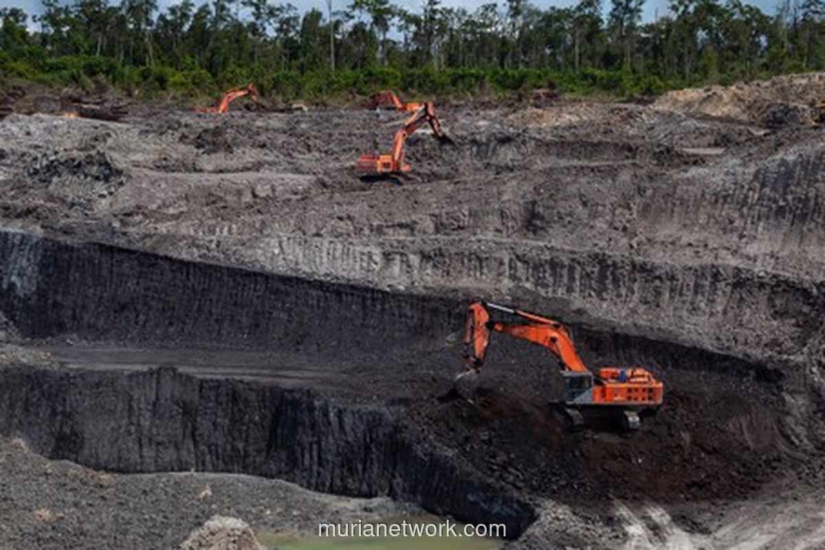 Pasar Komoditas Beragam: Nikel dan CPO Naik, Batu Bara Lesu