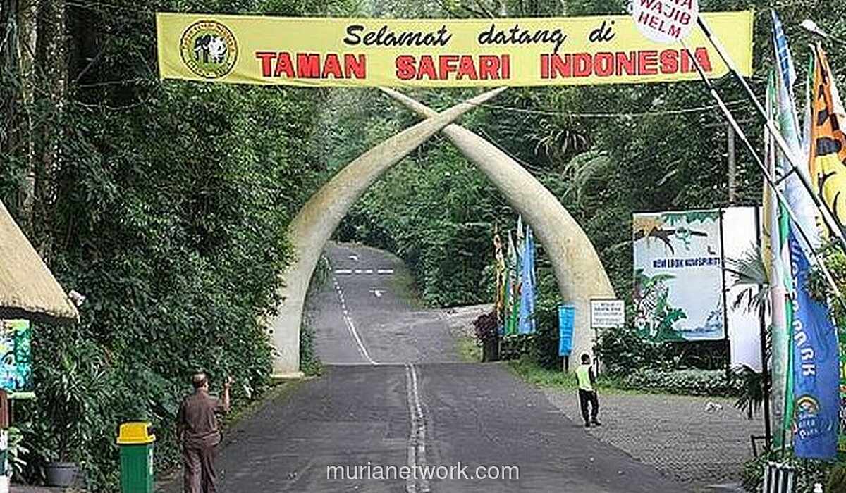 Bogor Siap Jadi Primadona Liburan Nataru, Ini 4 Destinasi yang Wajib Dikunjungi