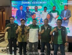 Bobibos Siap Ekspansi ke Timor Leste, Dapat Lahan 25.000 Hektare