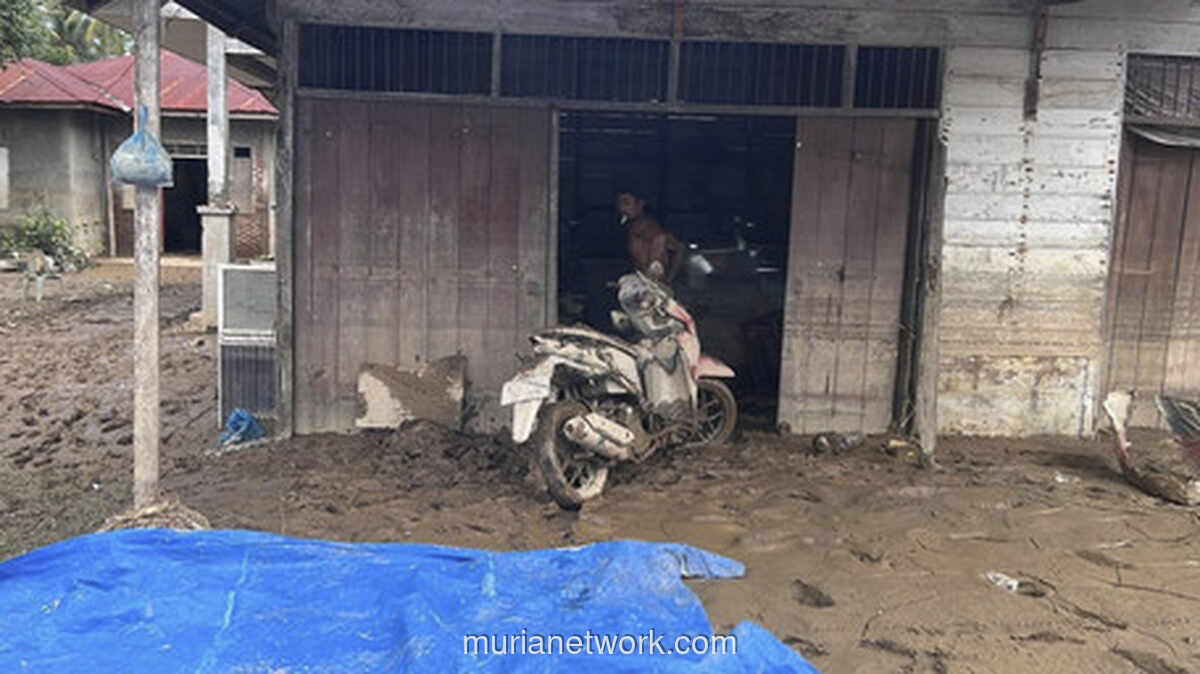 Sawah dan Tambak Lenyap, Warga Jangka Terjebak dalam Kepungan Lumpur