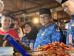 DKI Jakarta Ambil 1,4 Ton Cabai Aceh untuk Tekan Harga Pasar