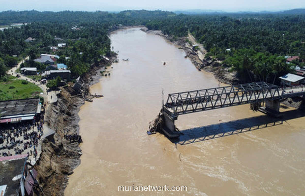 Senyar, Sang Singa yang Mengguncang Asia Tenggara
