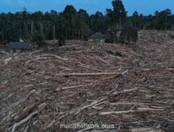 Tim Relawan China Bantu Evakuasi Korban Banjir Aceh dengan Teknologi Khusus