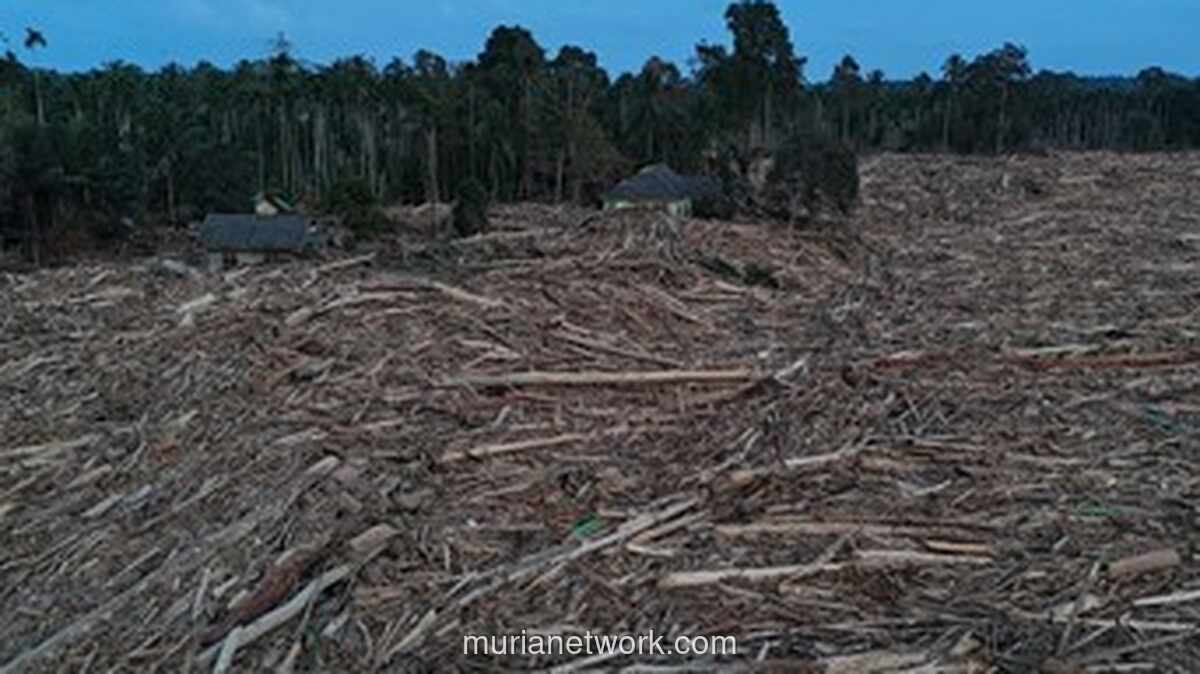 Tim Relawan China Bantu Evakuasi Korban Banjir Aceh dengan Teknologi Khusus