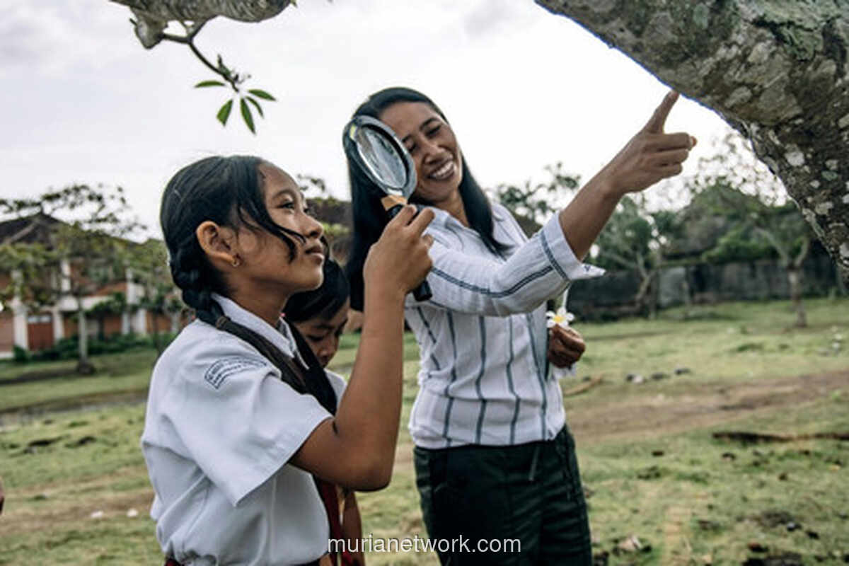 Guru di Kendari dan Gelombang Ketakutan yang Mengubah Ruang Kelas
