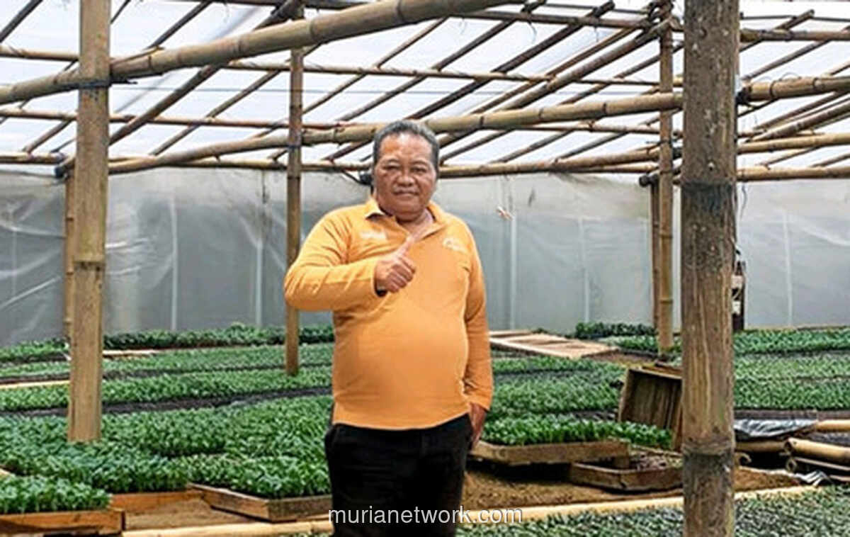 PNM Unggulkan Pembiayaan Syariah, 73% Dana Usaha Mikro Tersalur Lewat Skema Ini