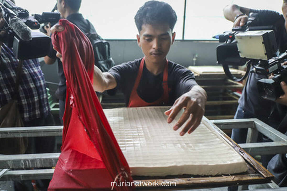 Dari Sisa Makanan ke Pasar Karbon: Kisah Jimmy Hantu Foundation