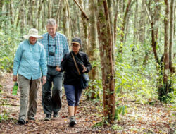 Turis Mancanegara Turun, Wisatawan Lokal Gempur Destinasi Dalam Negeri