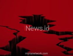 Gempa Magnitudo 5,3 Guncang Halmahera Barat, BMKG Pastikan Tak Ada Tsunami