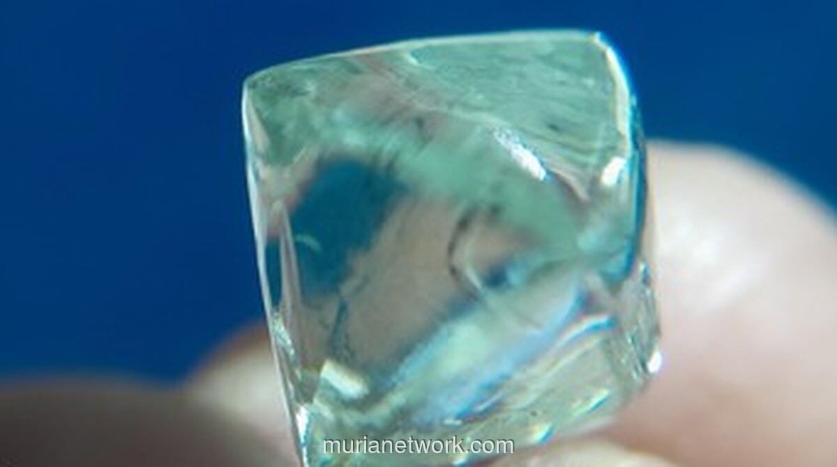 Dua Pemuda Panna Temukan Berlian 15 Karat, Biaya Pernikahan Saudara Terjamin