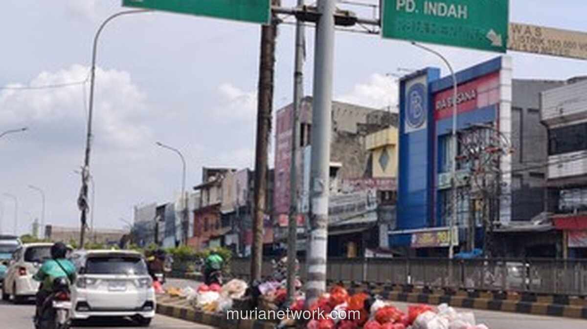 Kolong Flyover Ciputat Berubah Jadi Gunung Sampah, Warga Terpaksa Pakai Masker