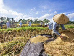 Menteri Kritik Buku Anak: Petani Harus Ditampilkan Makmur, Ganteng, dan Cantik