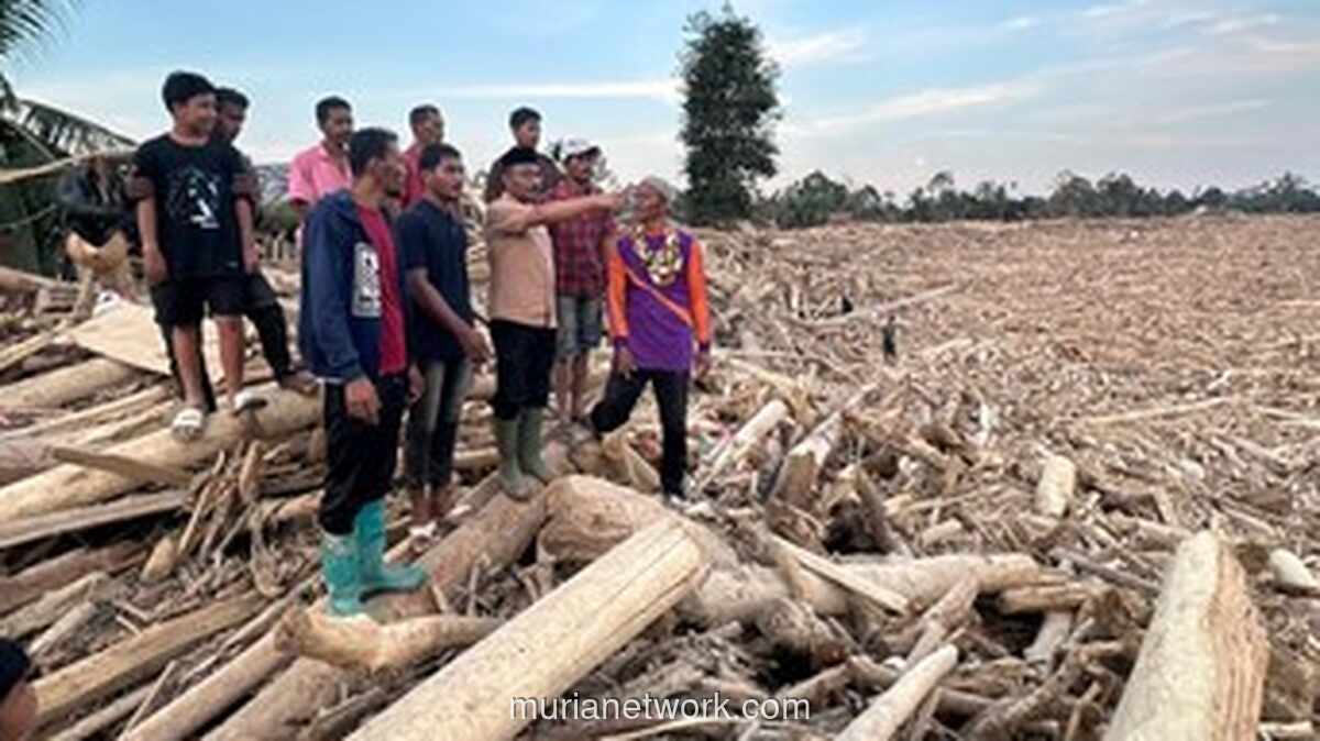 Gedumbak Hampir Lenyap, Terkubur di Bawah Lautan Kayu