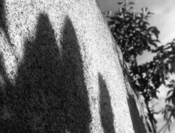 Mentalitas Penjilat dan Ironi Kekayaan: Ancaman Nyata di Balik Kemerdekaan