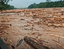 Di Balik Sunyi Medsos, Aceh dan Sumut Menghadapi Duka yang Tak Terekam