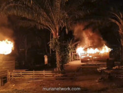 Ibu-Ibu di Mandailing Natal Bakar Rumah Diduga Bandar Narkoba Usai Salat Tolak Bala