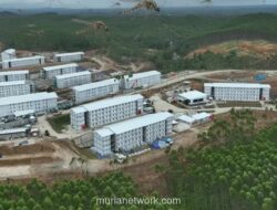 IKN Bersiap Usir Malaria demi Masa Depan Ibu Kota