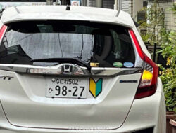 Daun Ajaib di Jalanan Jepang: Dari Kewajiban Hingga Jadi Tren