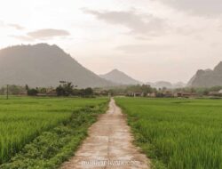 Mimpi Tempat Sepi: Bukan Hanya Isyarat Lelah, Tapi Panggilan Batin untuk Berhenti Sejenak