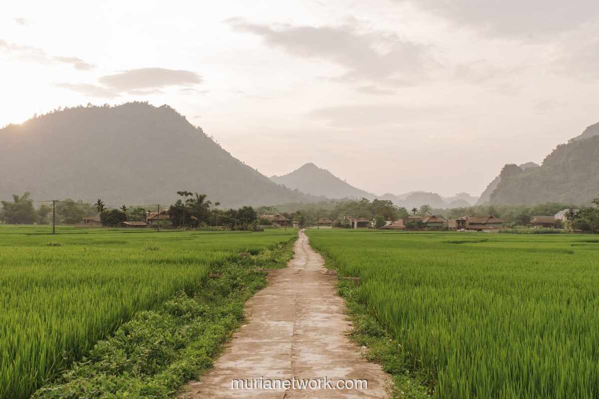 Mimpi Tempat Sepi: Bukan Hanya Isyarat Lelah, Tapi Panggilan Batin untuk Berhenti Sejenak
