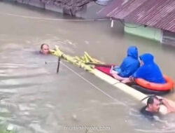 Kapolsek Langkat Berenang Lawan Arus, Evakuasi Warga Pakai Rakit Batang Pisang