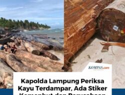 Barcode Ungkap Misteri Kayu Terdampar di Pantai Lampung
