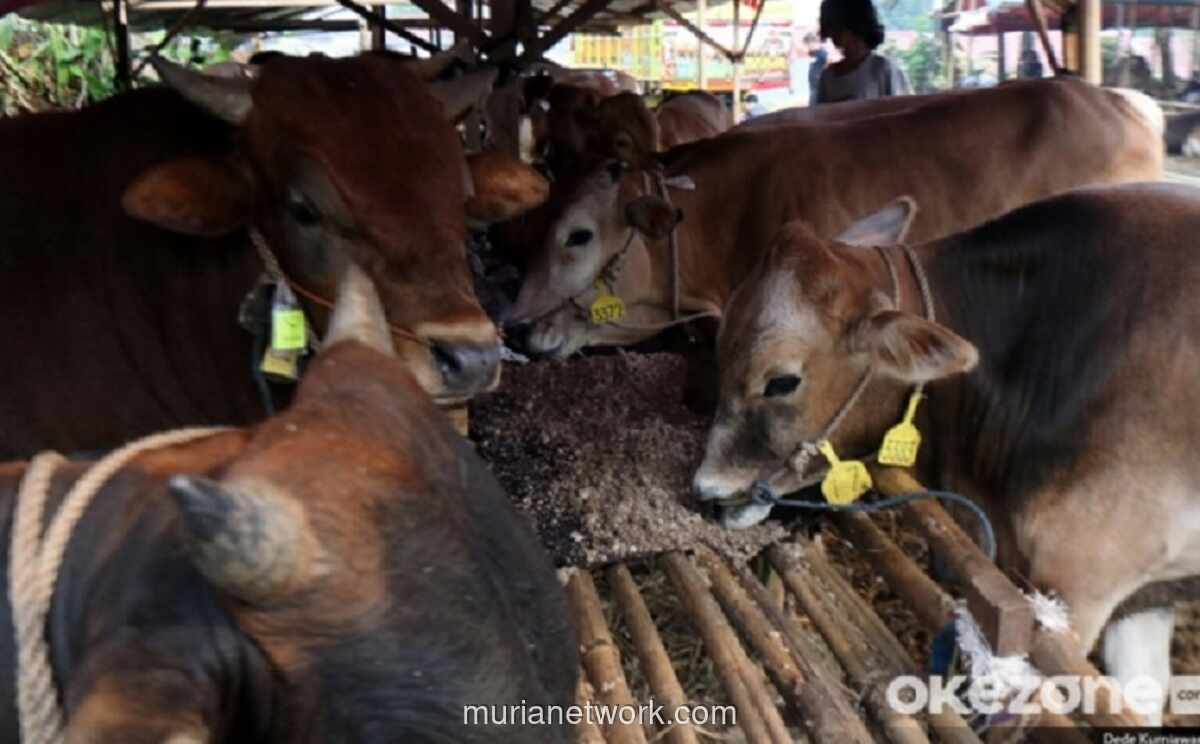 Pemerintah Genjot Populasi Sapi Perah dan Bangun Sentra Ayam untuk Dukung Makan Bergizi Gratis