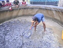 BNPT Garap Tambak Lele di Cirebon, Benteng Radikalisme Dibangun dari Desa