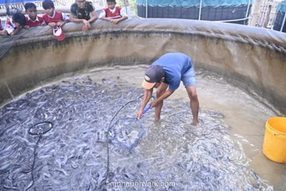 BNPT Garap Tambak Lele di Cirebon, Benteng Radikalisme Dibangun dari Desa