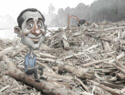 Siklon dan Sawit: Ketika Hujan Hanya Menyelesaikan Bencana yang Sudah Disiapkan