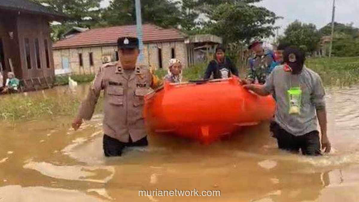 Warga Banjar Berbondong-bondong Tinggalkan Rumah, Sebagian Bertahan di Tengah Banjir yang Mengganas