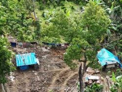 25 Kabupaten di Sumatera Masih Berstatus Tanggap Darurat, Tiga Wilayah Mulai Pemulihan