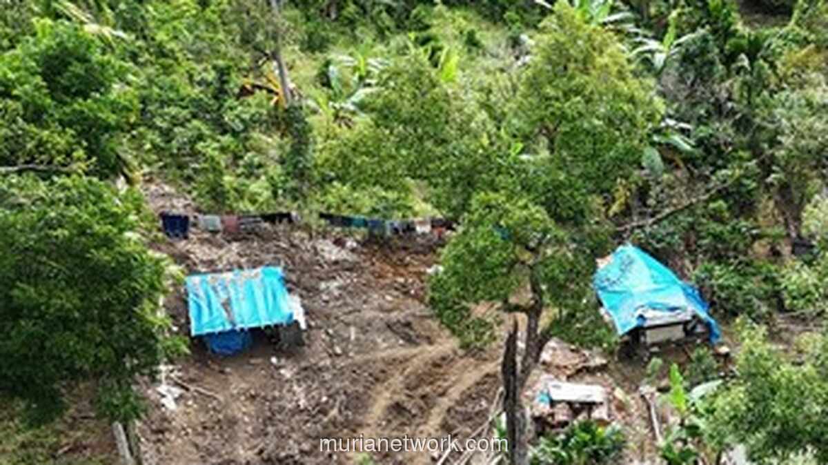 25 Kabupaten di Sumatera Masih Berstatus Tanggap Darurat, Tiga Wilayah Mulai Pemulihan