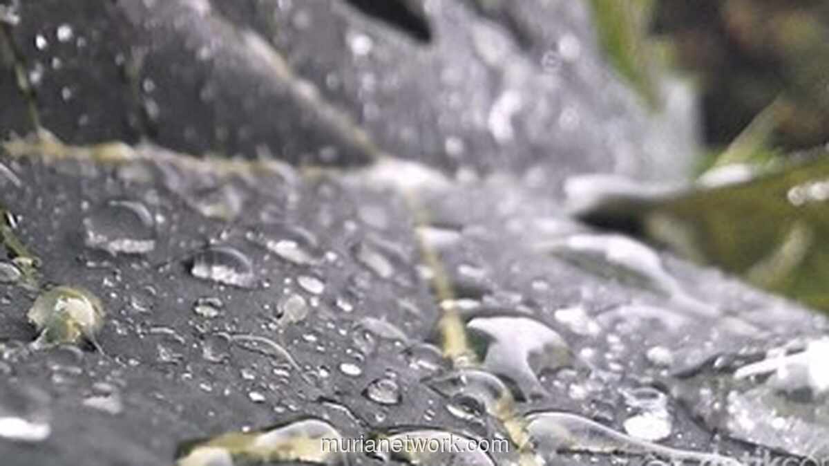 Jakarta Diguyur Hujan Ringan, Suhu Terasa Lebih Sejuk