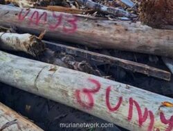 Misteri Kayu Bernomor Merah di Tengah Banjir Aceh